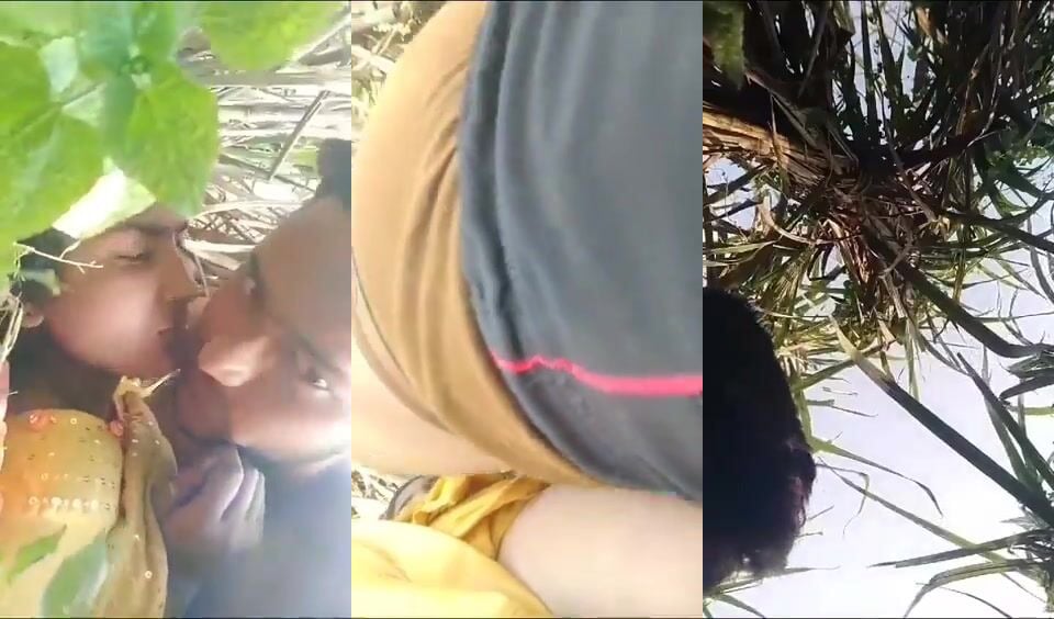 
                                          Jungel mai desi gaon ki ladki ki chudai
                                      