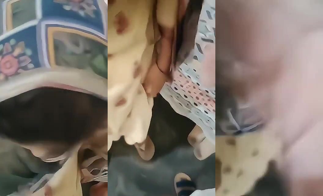 
                                          Pakistani sexy bhabhi devar ka lund chuskar apne boobs dikha rahi hai
                                      